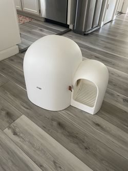 Cat litter box enclosed for cat odor