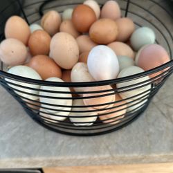 organic Eggs