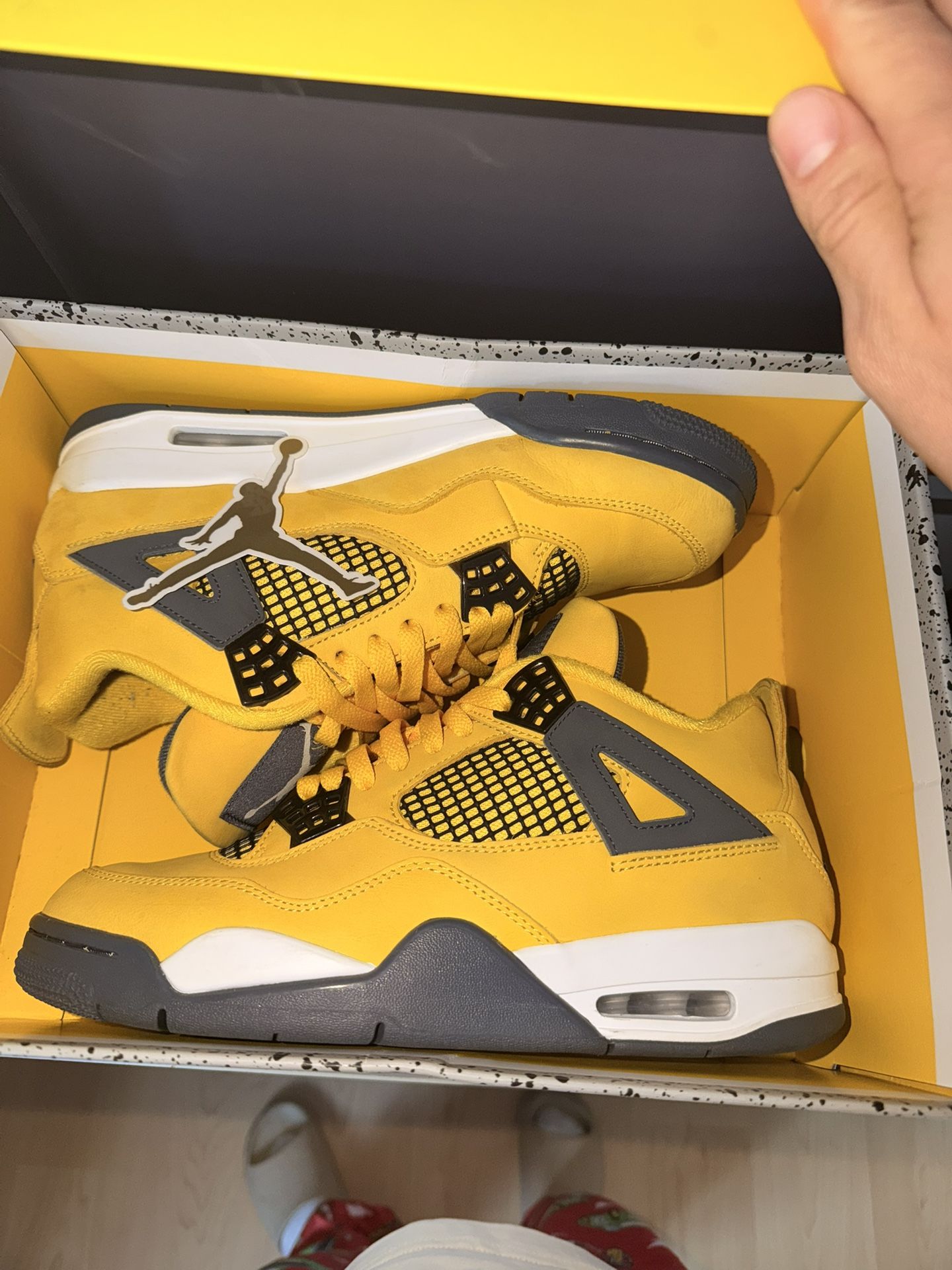 Jordan Lighting 4’s