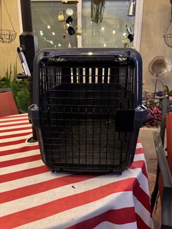 Brand new 2 door pet kennel
