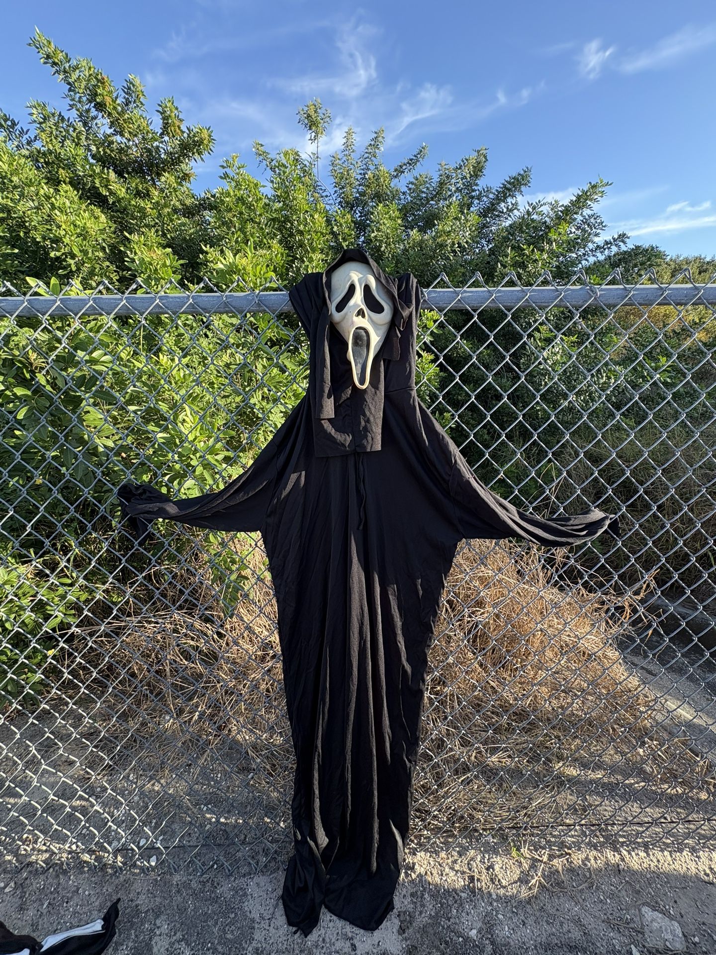 Scream Halloween Costume