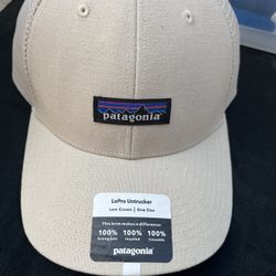 Patagonia Cap