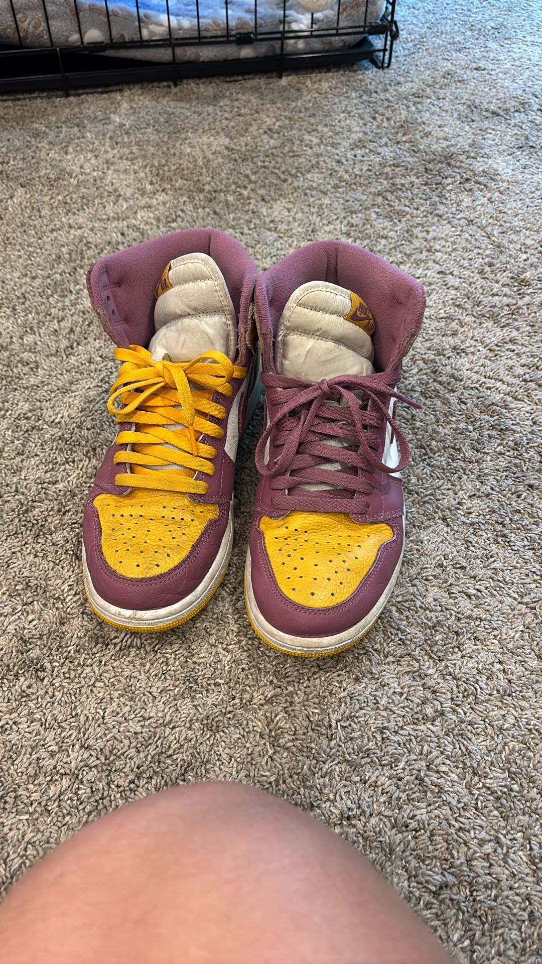 Air Jordan 1 Brotherhood