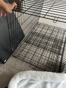 Dog Crate