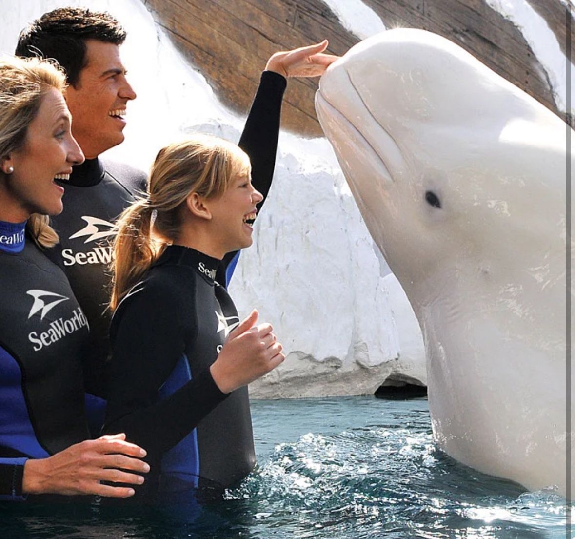 Sea World Tickets -2 