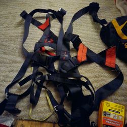 Black Widow Climbing/racing Harness