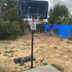 Basketball Court 