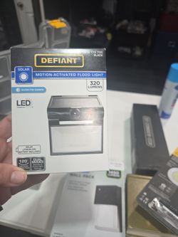 Defiant motion activated flood light
