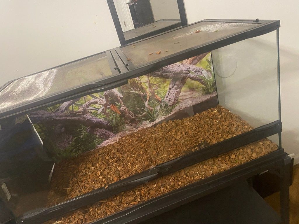 40 Gallon Tank And Stand