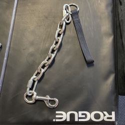 Short Chain Link Leash For Dogs