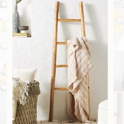 Teak Ladder