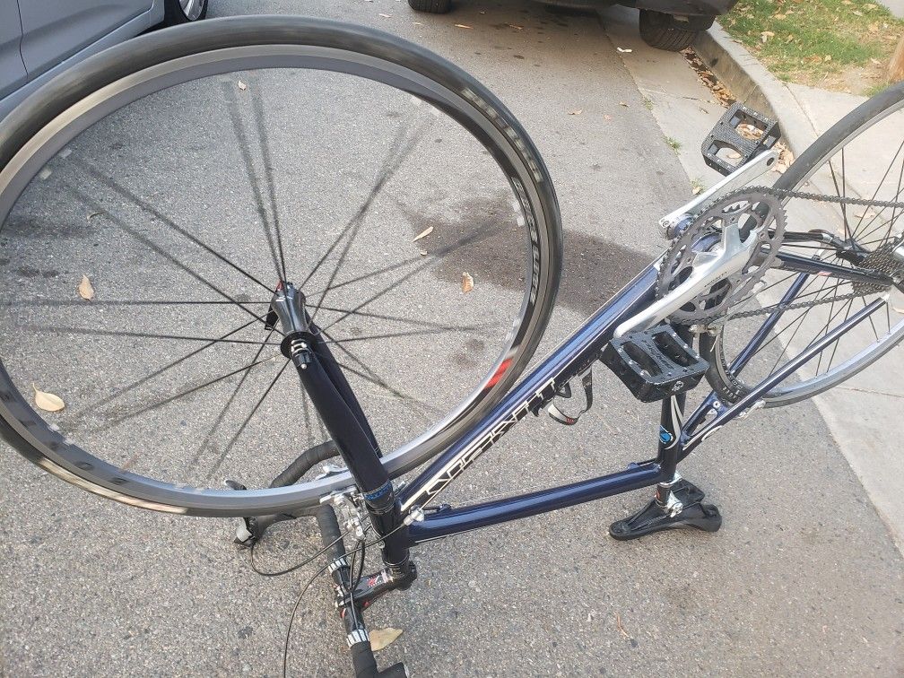 Trek bike