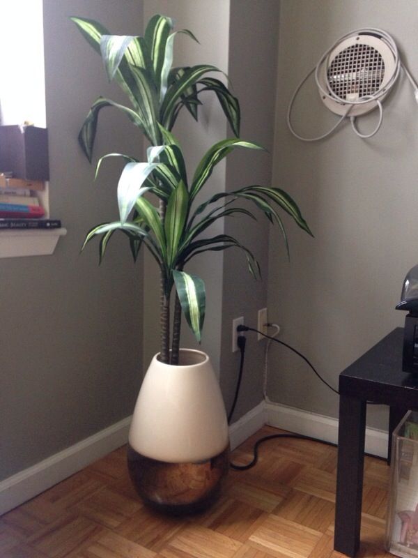 Elie Tahari planter
