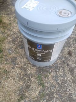Paint