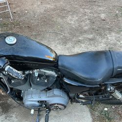 Harley Davison 2008 1200cc 