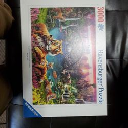 Ravensburger Puzzle 3,000 Pieces ( NEW)
