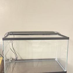 Imagitarium Open-Glass Aquarium Tank, 10 Gallon With LED lamp