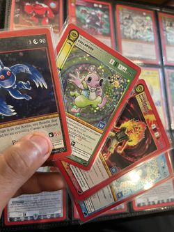 Metazoo Cards
