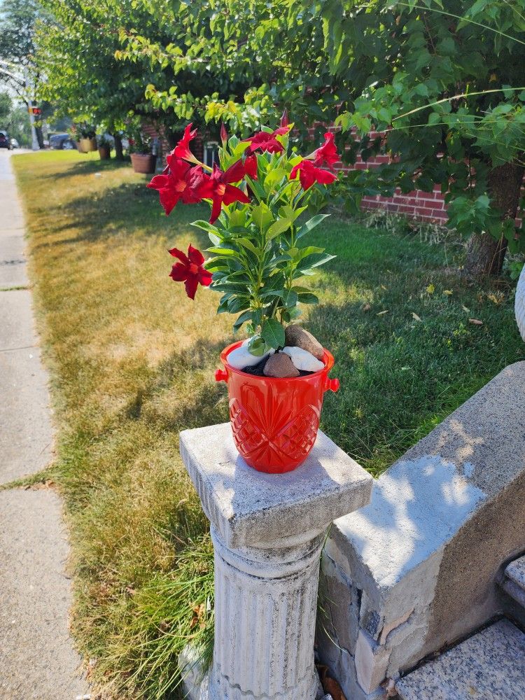 Indoor/ Outdoor Flower Arangments Vases & Yard Items...all For Only $65