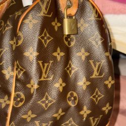LV Speedy bag