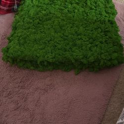 4 Sheets Of Preserved  Moss