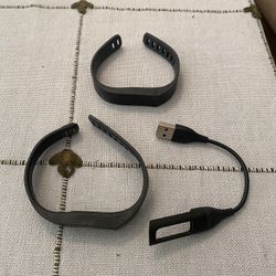 Fitbit Flex