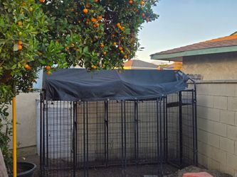 Large Outdoor Dog Kennel with Cover
