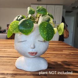 Sweet Face Plant Planter 