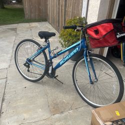 Schwinn Bike