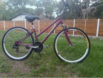 Bicycle 29 inch for women