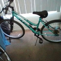 Huffy 29” Rock Creek Women's 18-Speed Mountain Bike, Mint