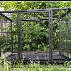 Dog Kennel 