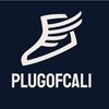 PlugOfCali