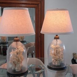 Light In Glass Globe With Seashells