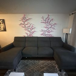 Sectional with souble loungers and coffee table