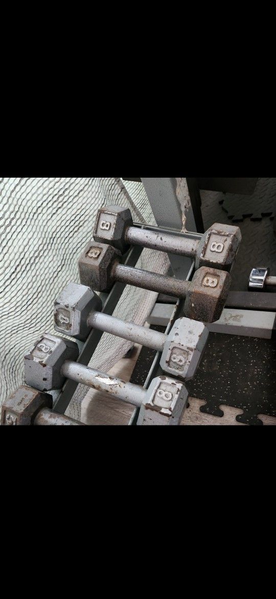 Dumbbells Gym Weights Workout Exercise Gym