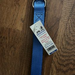 Dog Collar 