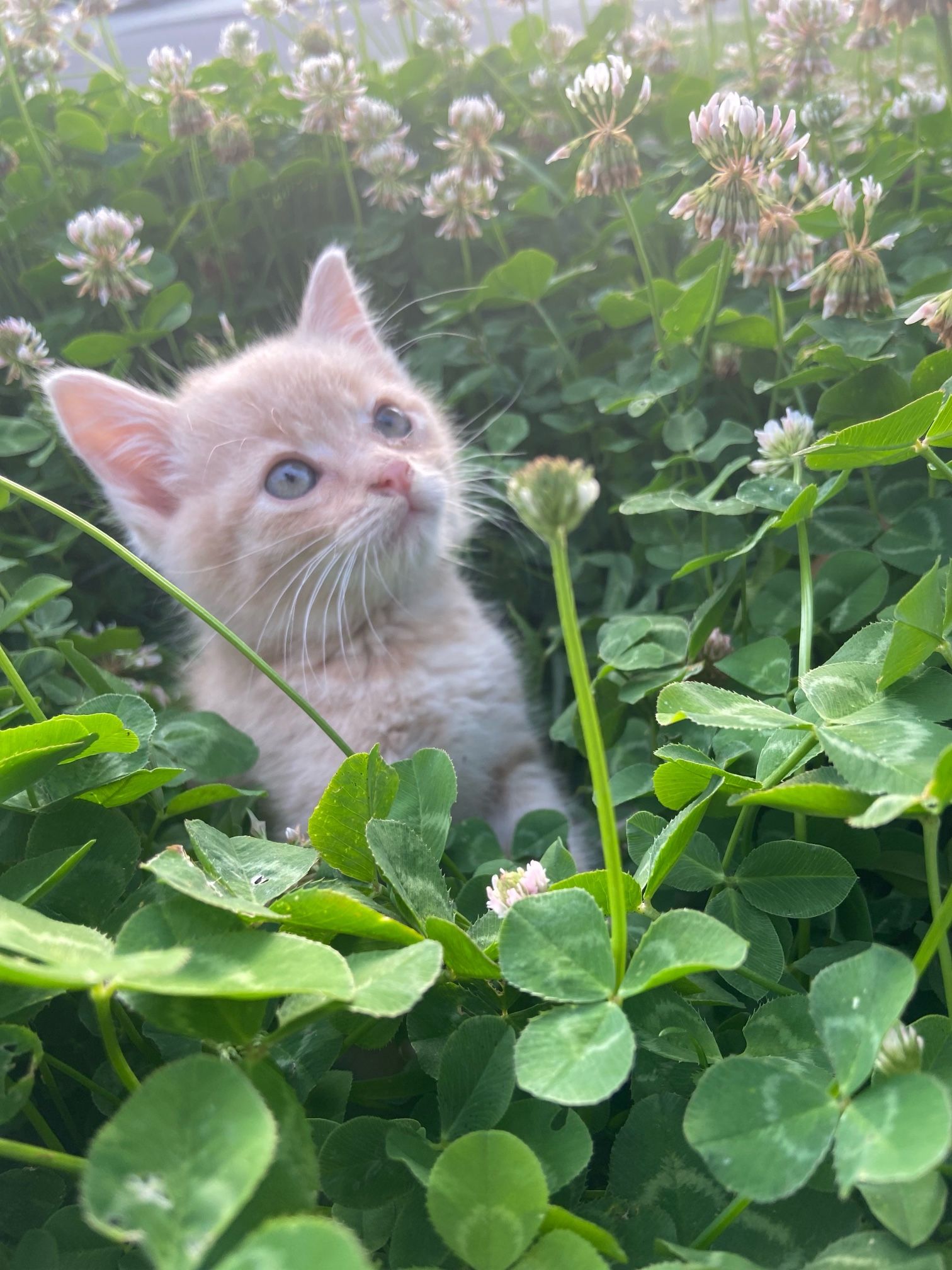 Cuteness Overload!