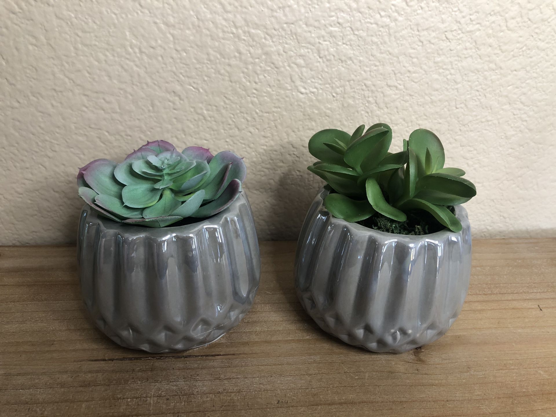 Artificial succulents home decor grey pots