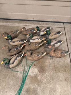 Decoys