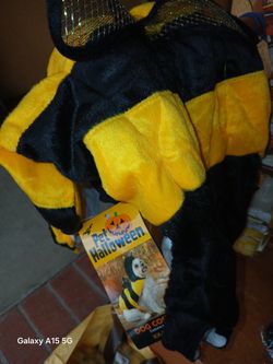 Pet costumes