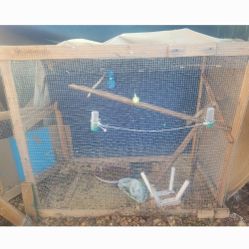 Big Cage 