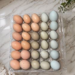 Farm Fresh Eggs