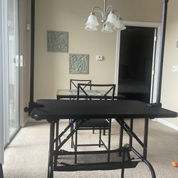 Dog Grooming Station