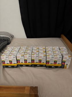 Feit Electric LED Light Bulbs – 60W Replacement, Soft White (2700K), New in Box