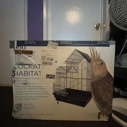 New Bird Cage 
