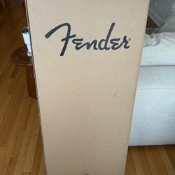 Electric Fender Stratocaster + Amp