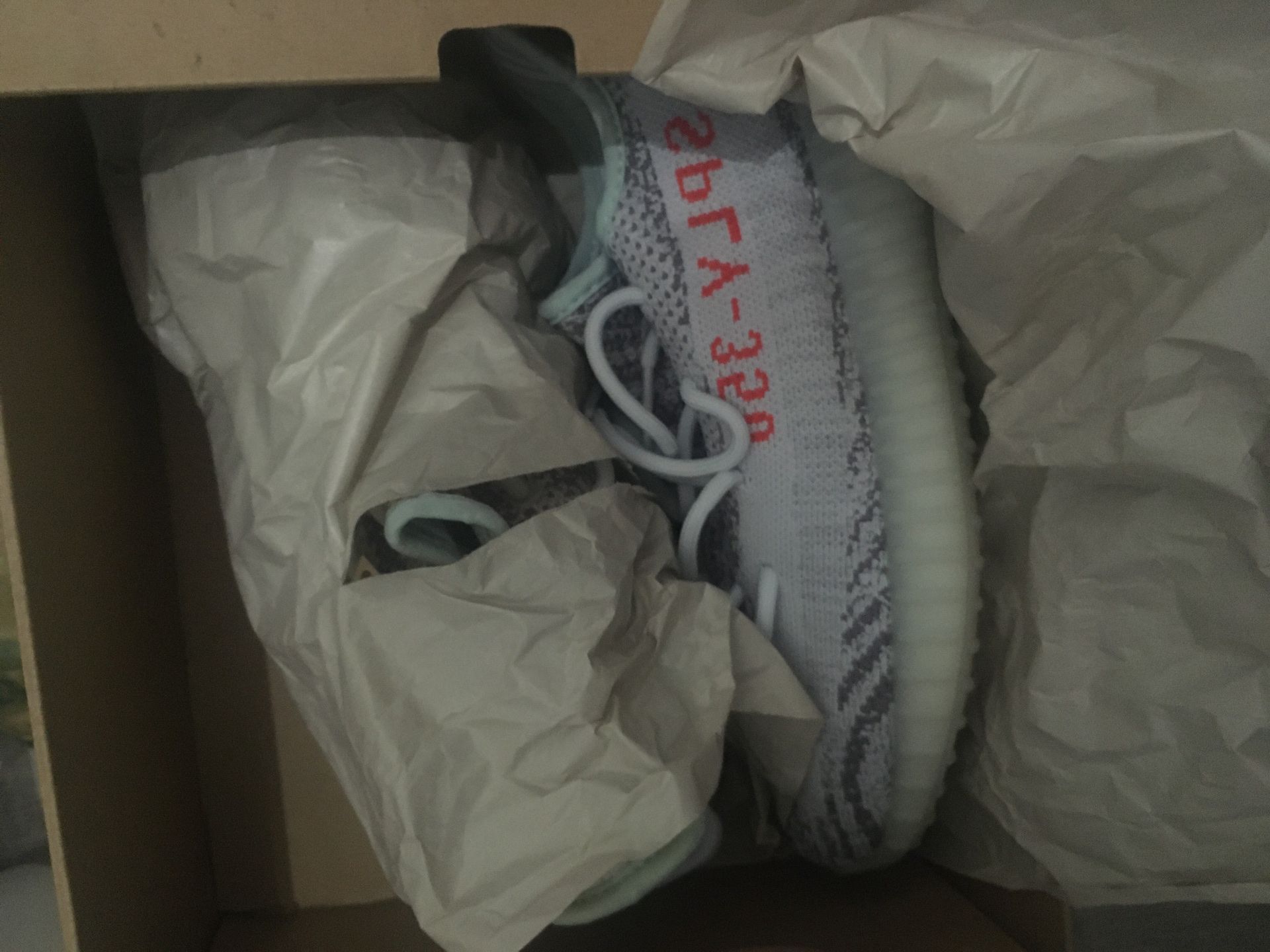 Yeezy blue tint size 9