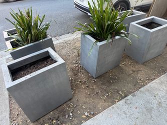Free planter boxes with dirt