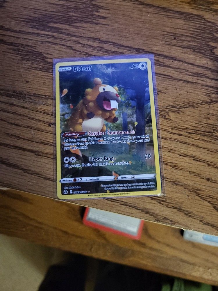 Pokémon Bidoof Crown Zenith